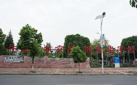 當(dāng)定制葛粉時，我們真正在選擇什么？