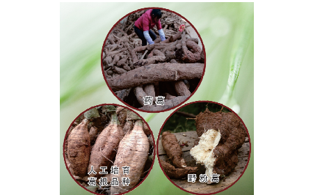 買(mǎi)葛粉是買(mǎi)野生的好？還是野生有機(jī)的好？